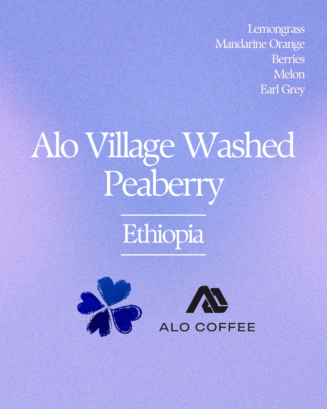 Ethiopia Alo Village Washed Peaberry
