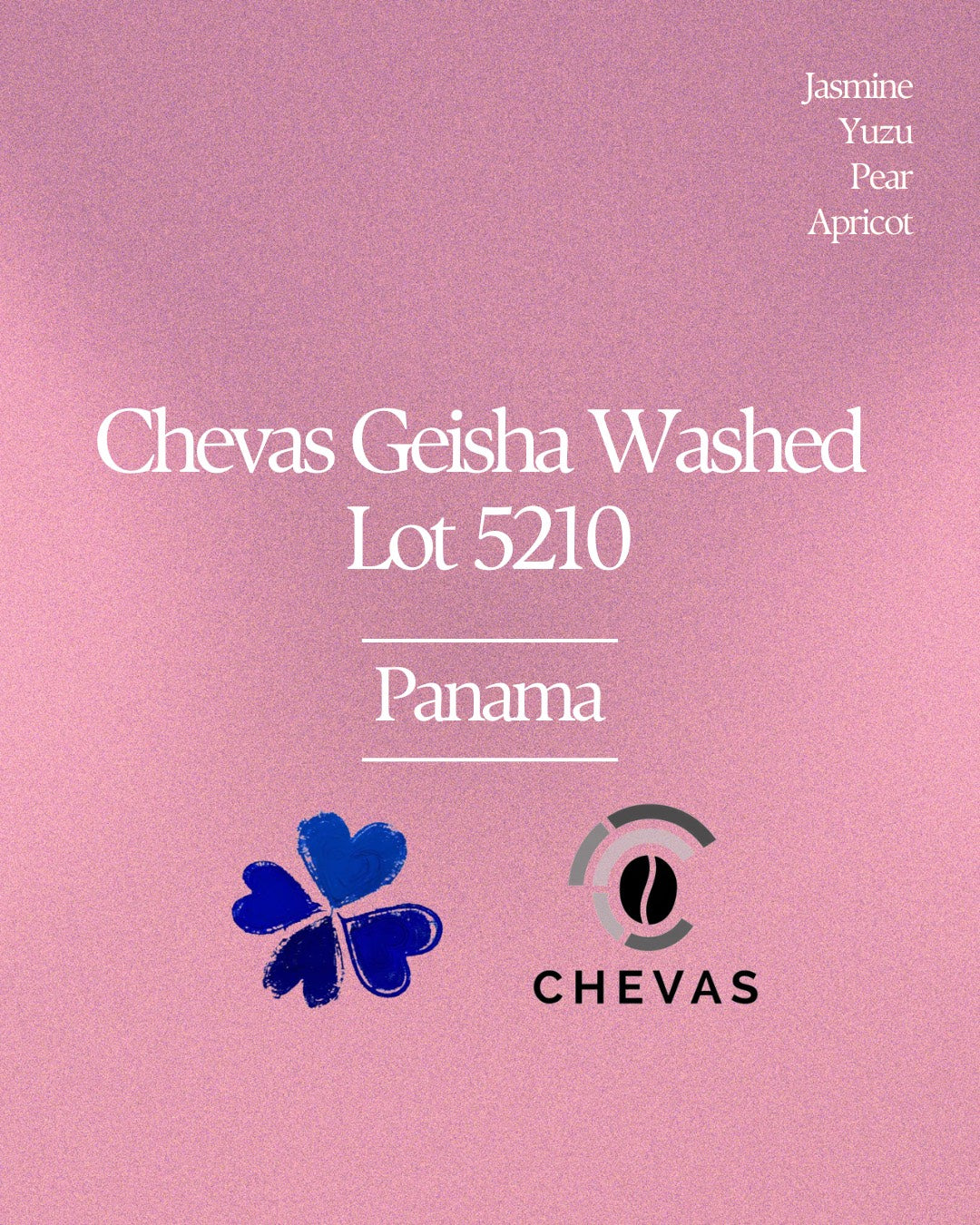 Chevas Geisha Washed Lot 5210
