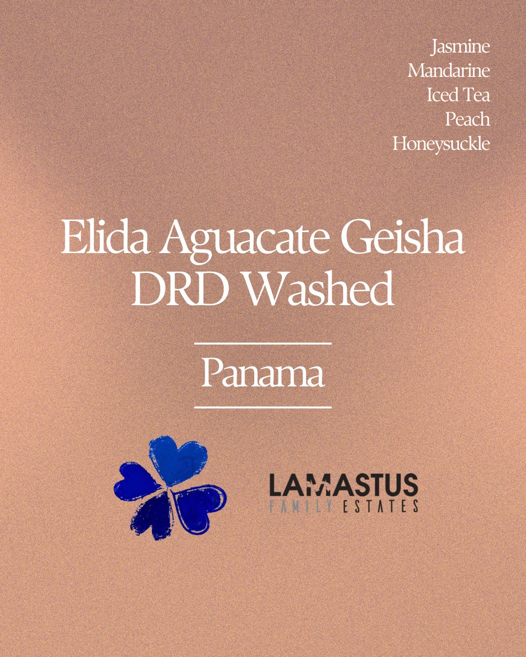 Elida Aguacate Geisha DRD Washed
