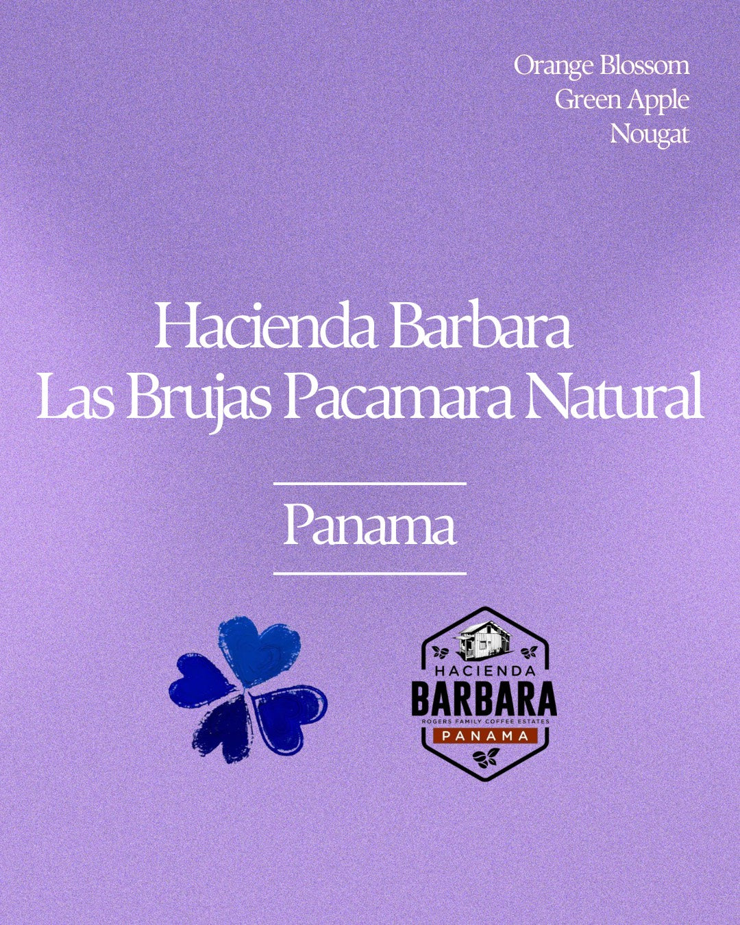Hacienda Barbara Las Brujas Pacamara Natural