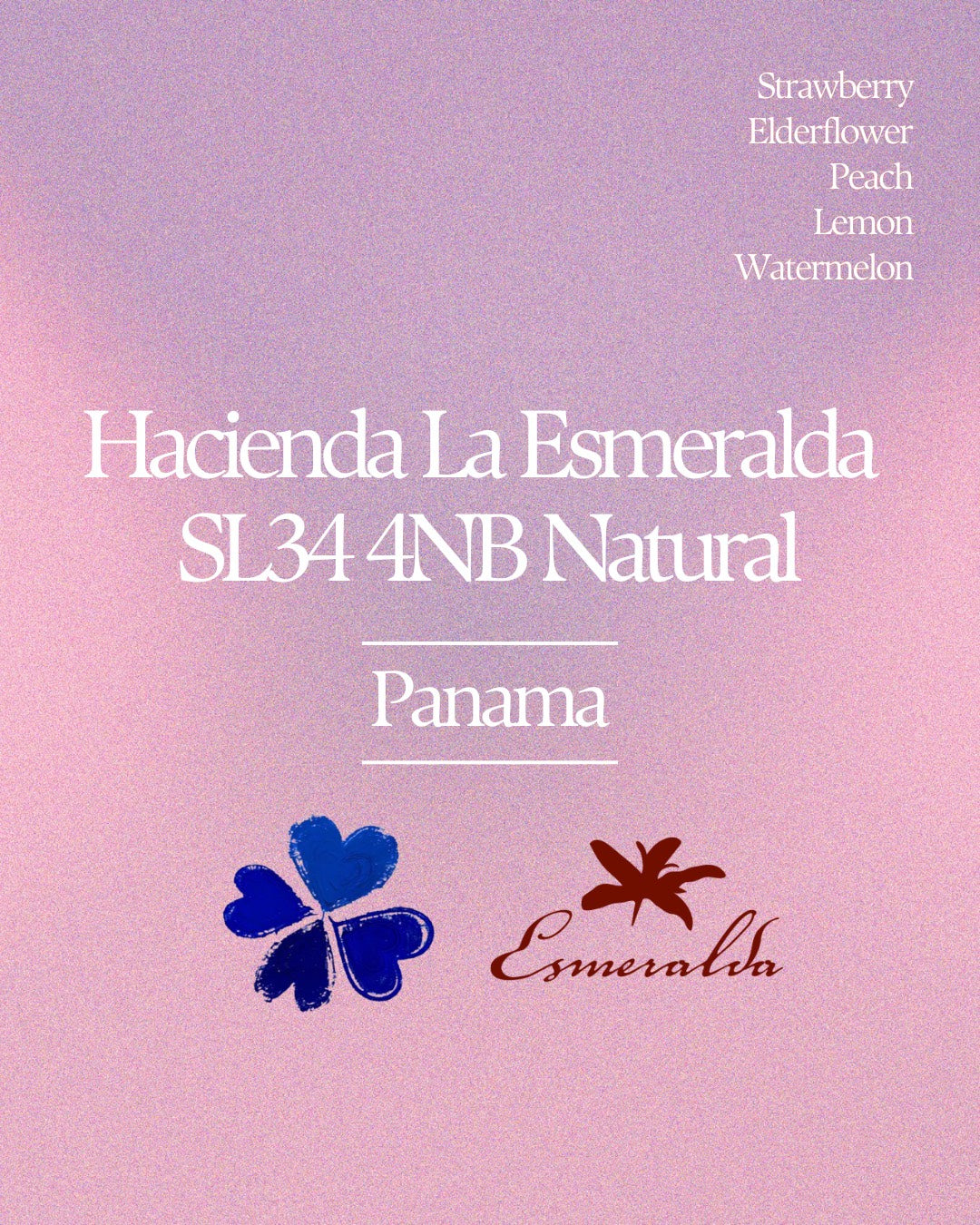 Hacienda La Esmeralda SL34 4NB Natural