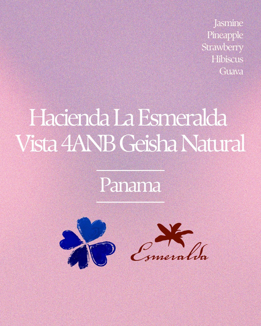 Hacienda La Esmeralda Vista 4ANB Geisha Natural