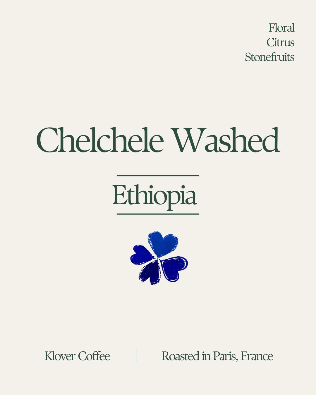 Ethiopia Chelchele Washed