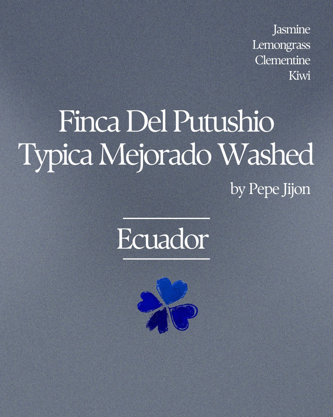 Finca Del Putushio Typica Mejorado Washed by Pepe Jijon